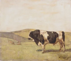 The Bull